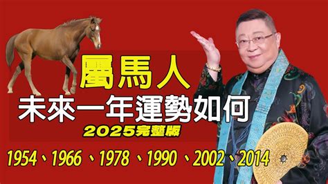 2002屬馬|2002屬馬人一生的命運如何 事業感情雙豐收